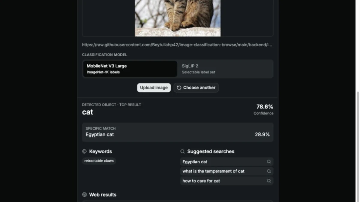 Image Classification Explorer showing a cat prediction and suggested searches